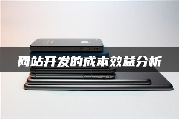 網(wǎng)站開(kāi)發(fā)的成本效益分析
